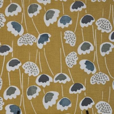 NEW CLARA RANGE NOW ONLINE