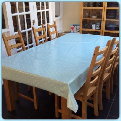 Wipeable tablecloth review