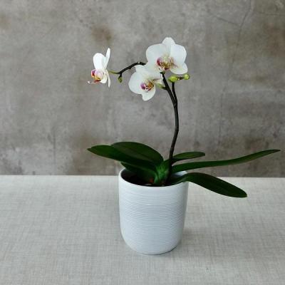 GO FOR SIMPLICITY AND DECLUTTER