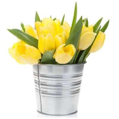 SPRINGTIME INSPIRATION FOR YOUR KITCHEN TABLE