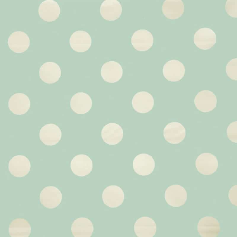 Big dot plastic tablecloth