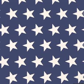 Big Star Denim Blue PVC tablecloth